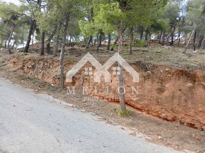 property-img