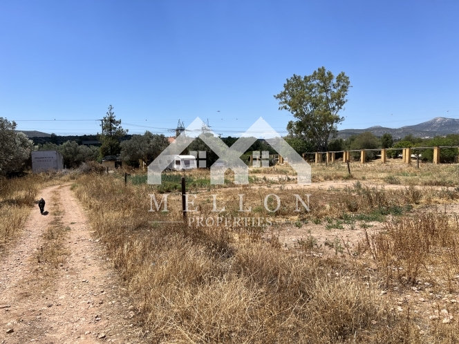 property-img