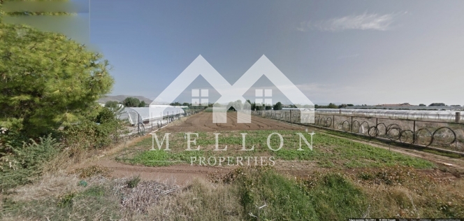 property-img