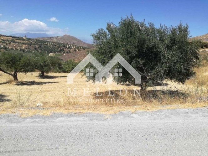 property-img
