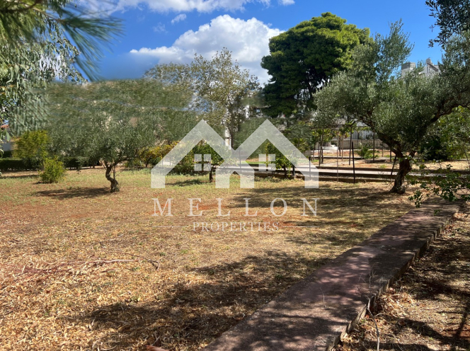 property-img